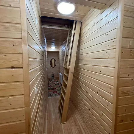 Chalet Casa Tudor Padis