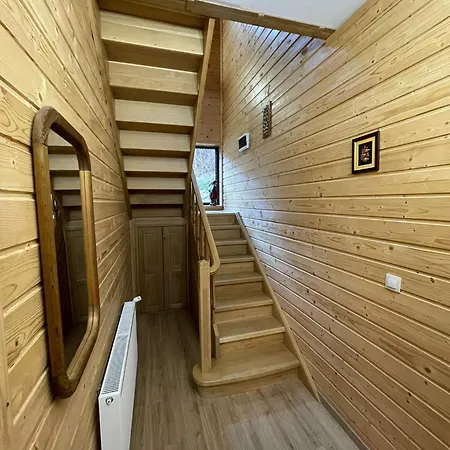 Chalet Casa Tudor Padis